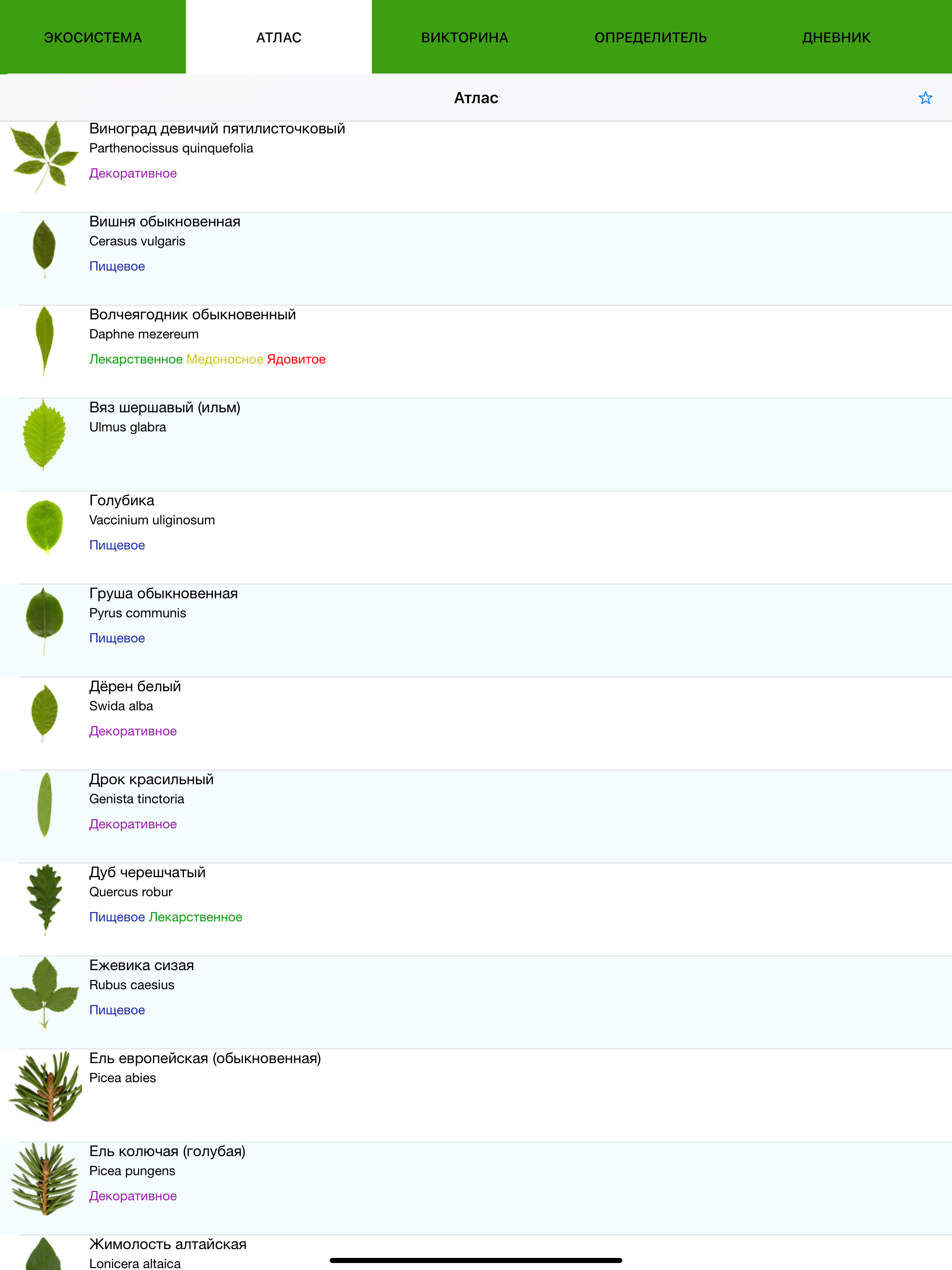Экогид - Деревья летом screenshot 10