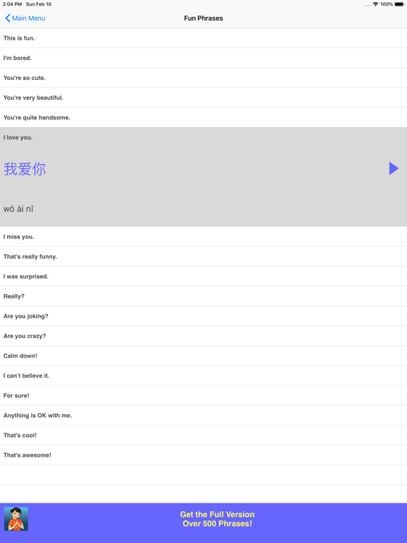 Speak Chinese Phrasebook Lite iPad screenshot 5 - Travel app
