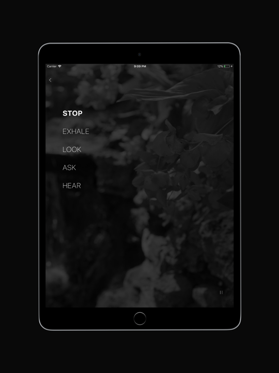 Selah Devos iPad screenshot 4 - Lifestyle app