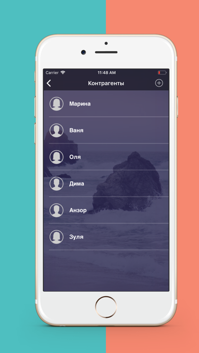 Debtor Screenshot