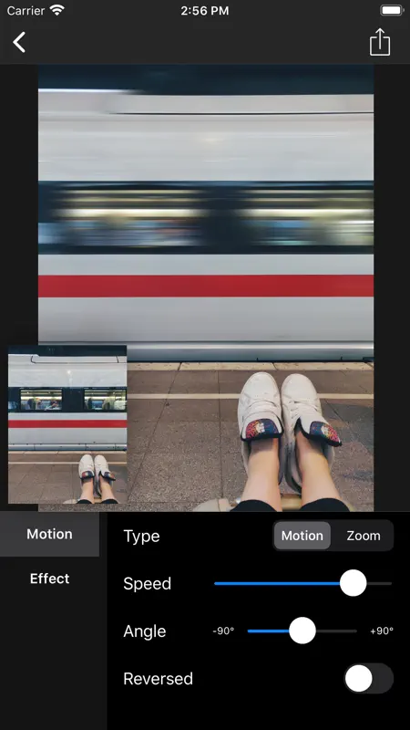 Motion Blur - Panning Photo screenshot 3 of 10