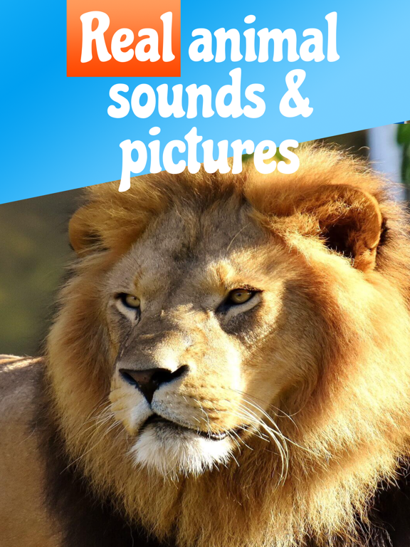 Animal Sounds for Babies ,Kids iPad screenshot 1 - Education app