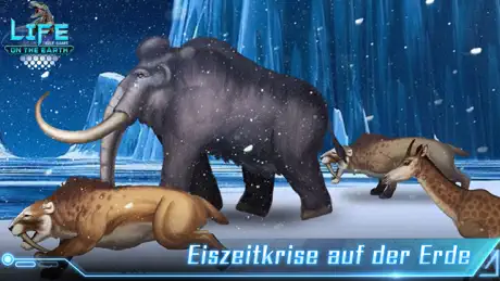 Idle evolution: Life on Earth