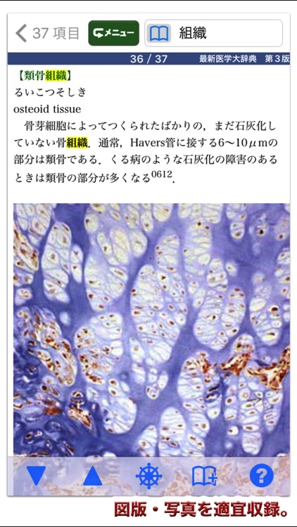 最新医学大辞典第3版【医歯薬出版】(ONESWING)