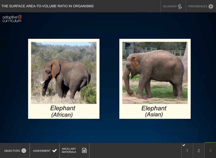 Surface Area-to-Volume Ratio screenshot-3