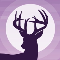 Deer Calls app funktioniert nicht? Probleme und Störung