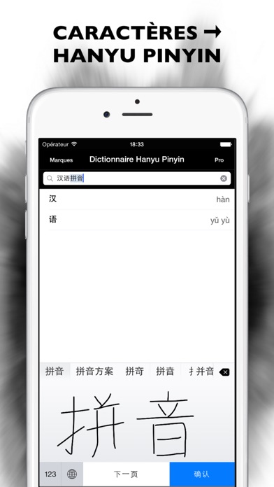 Screenshot #2 pour Dictionnaire Hanyu Pinyin