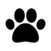 댕댕날씨 - 강아지 산책, 캠핑, 야외활동을 위한 앱 icon