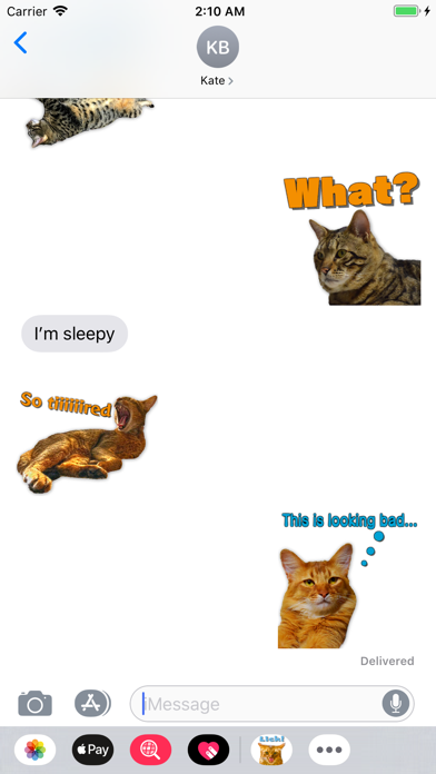A fun cat message sticker screenshot 2