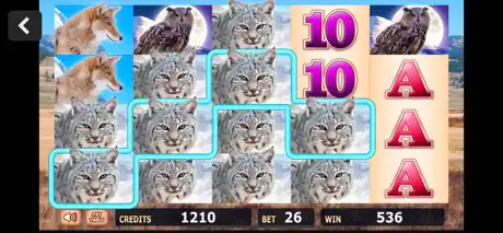 Fun Casino Slots