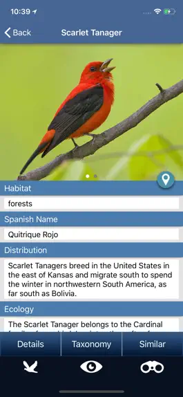 Game screenshot Bird Id USA - backyard birds apk