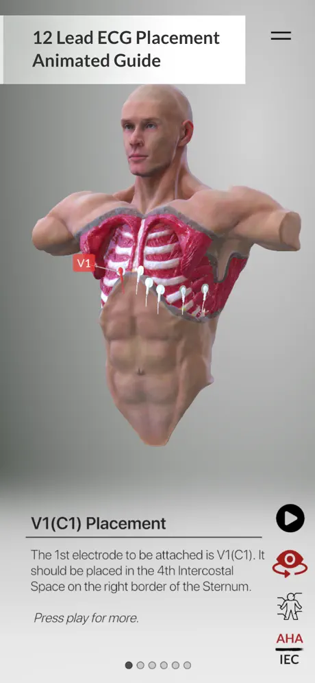 3D ECG Leads