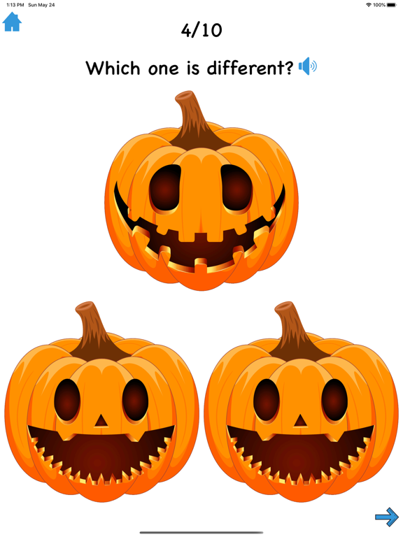 Same & Different All Year Long iPad screenshot 5 - Education app