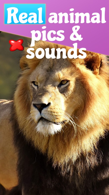 Animal Sounds & Noises 4 Kids