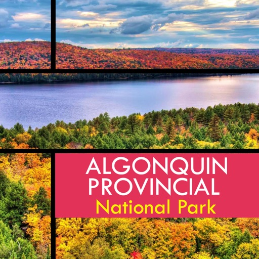 Algonquin Park icon