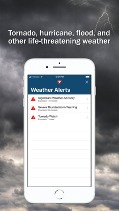Storm Shield screenshot 3