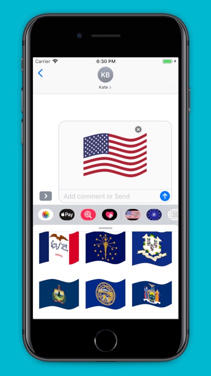 American Flags