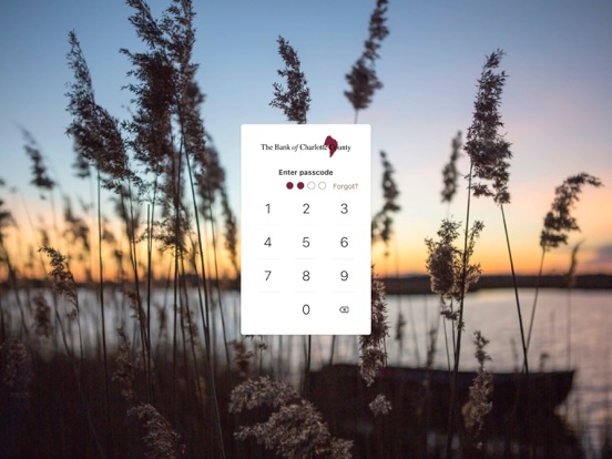 Bank of Charlotte Mobile iPad screenshot 2 - Finance app