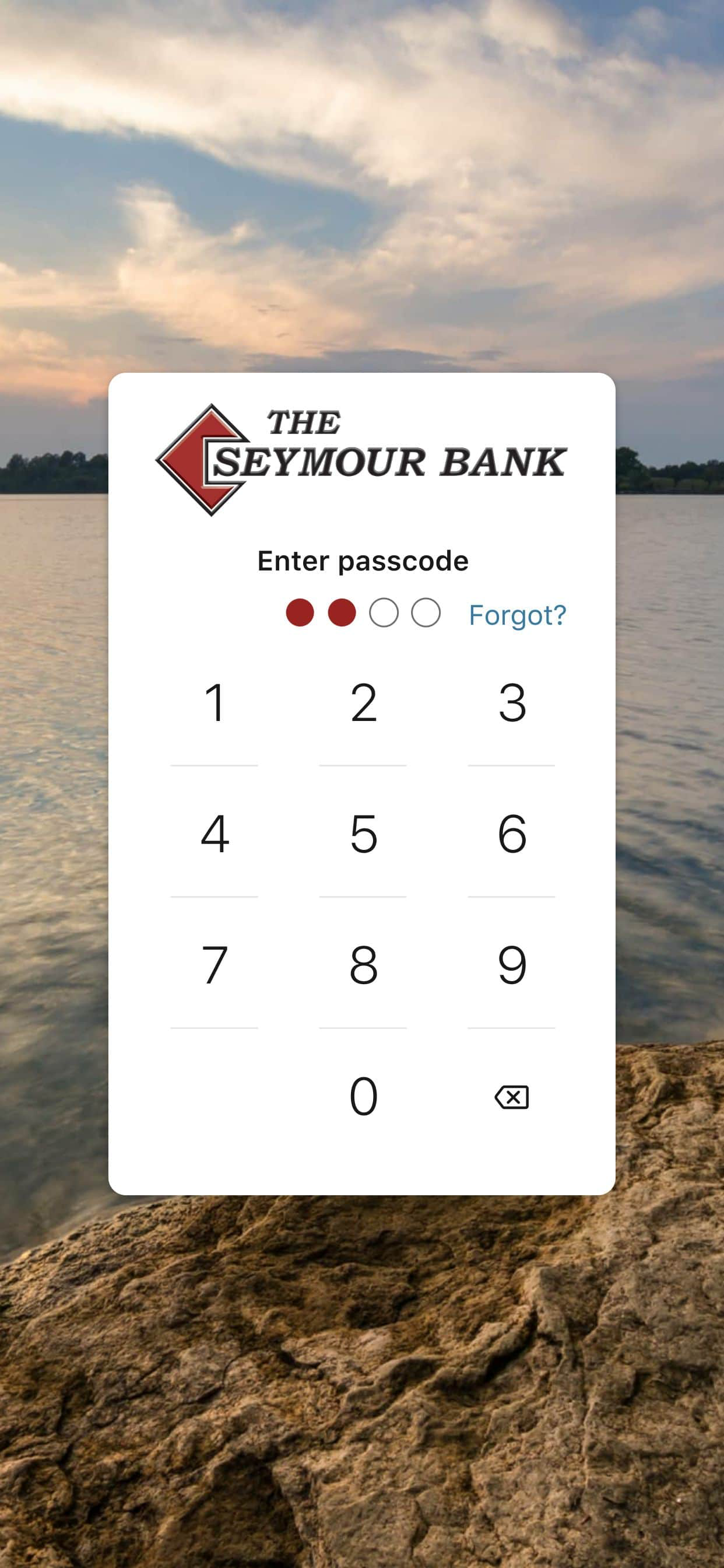The Seymour Bank screenshot 4