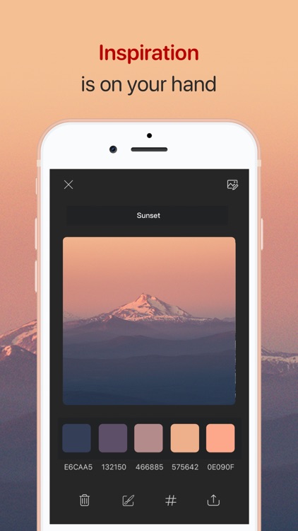 Color Collect - Palette Studio