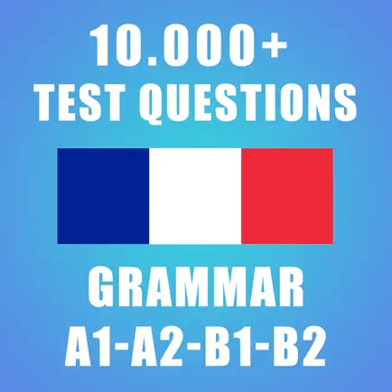 French Grammar Test Cheats