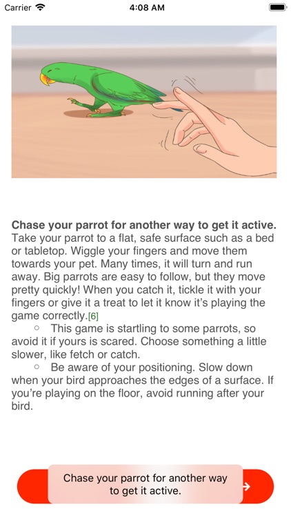 Playing With A Large Parrot screenshot-5