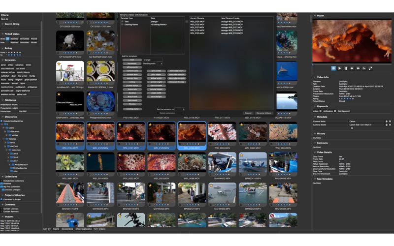 Screenshot #3 pour Videux Pro AS