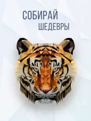 poly mania - 3d головоломки айпад изображения 1