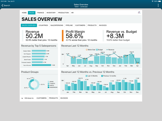 TARGIT Decision Suite iPad screenshot