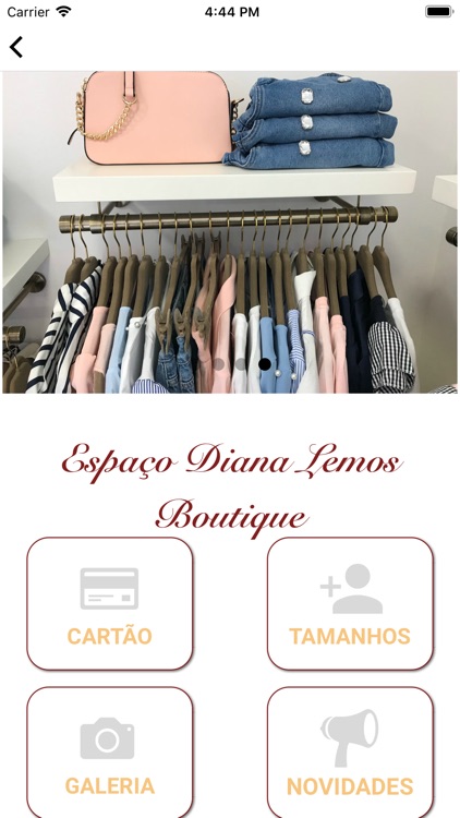 Diana Lemos Boutique screenshot-4