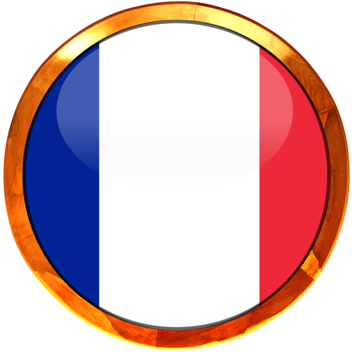 Easy French icon