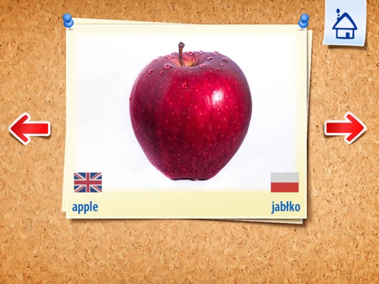Screenshot #5 pour English Academy - Szybka Nauka