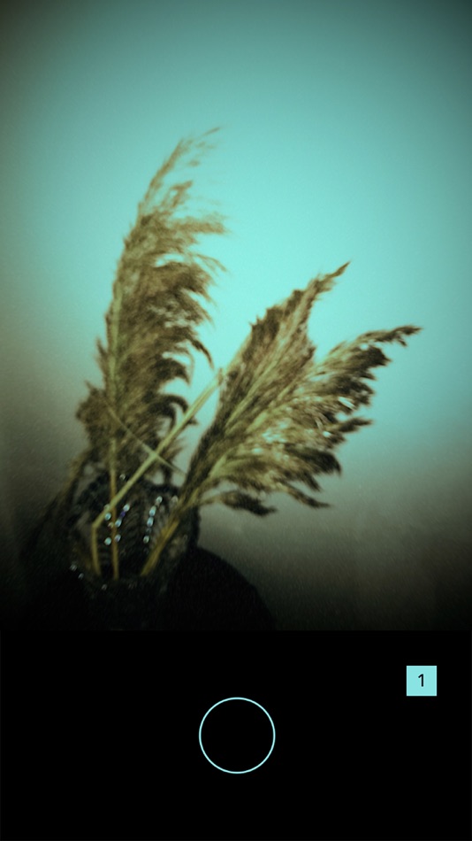 #1. DAZZL CAM (iOS) Ved: NOTEGG Corp.