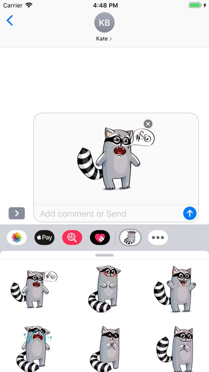 Racoon Stickers Pack screenshot-5