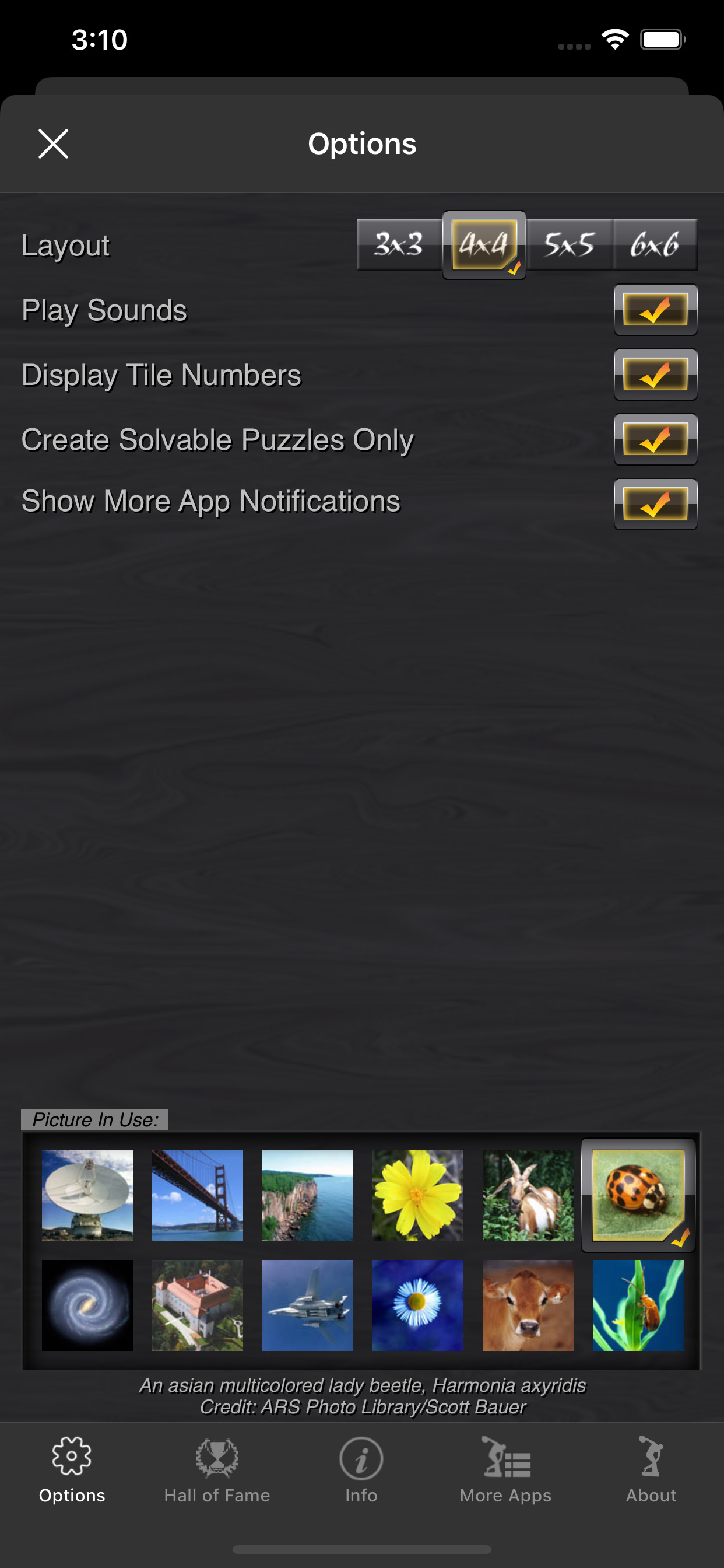 Picture Tile Slider