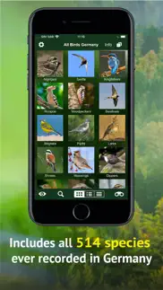 all birds germany iphone screenshot 3