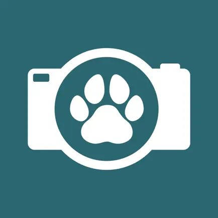 PetSpotting Cheats