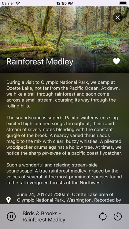 Pure Nature - 3D Soundscapes screenshot-9