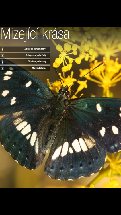 Toulky přírodou Moravy