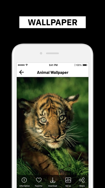 Best HD Wallpaper & Background