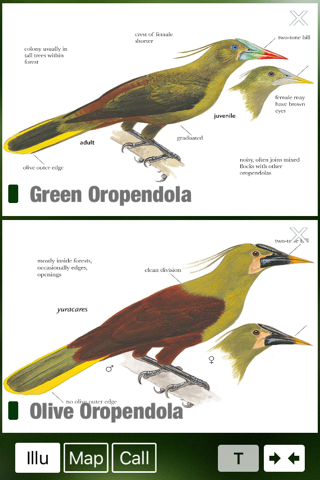 All Birds Ecuador field guide screenshot 4