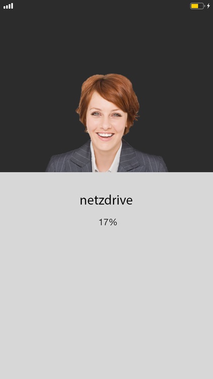 netzdrive