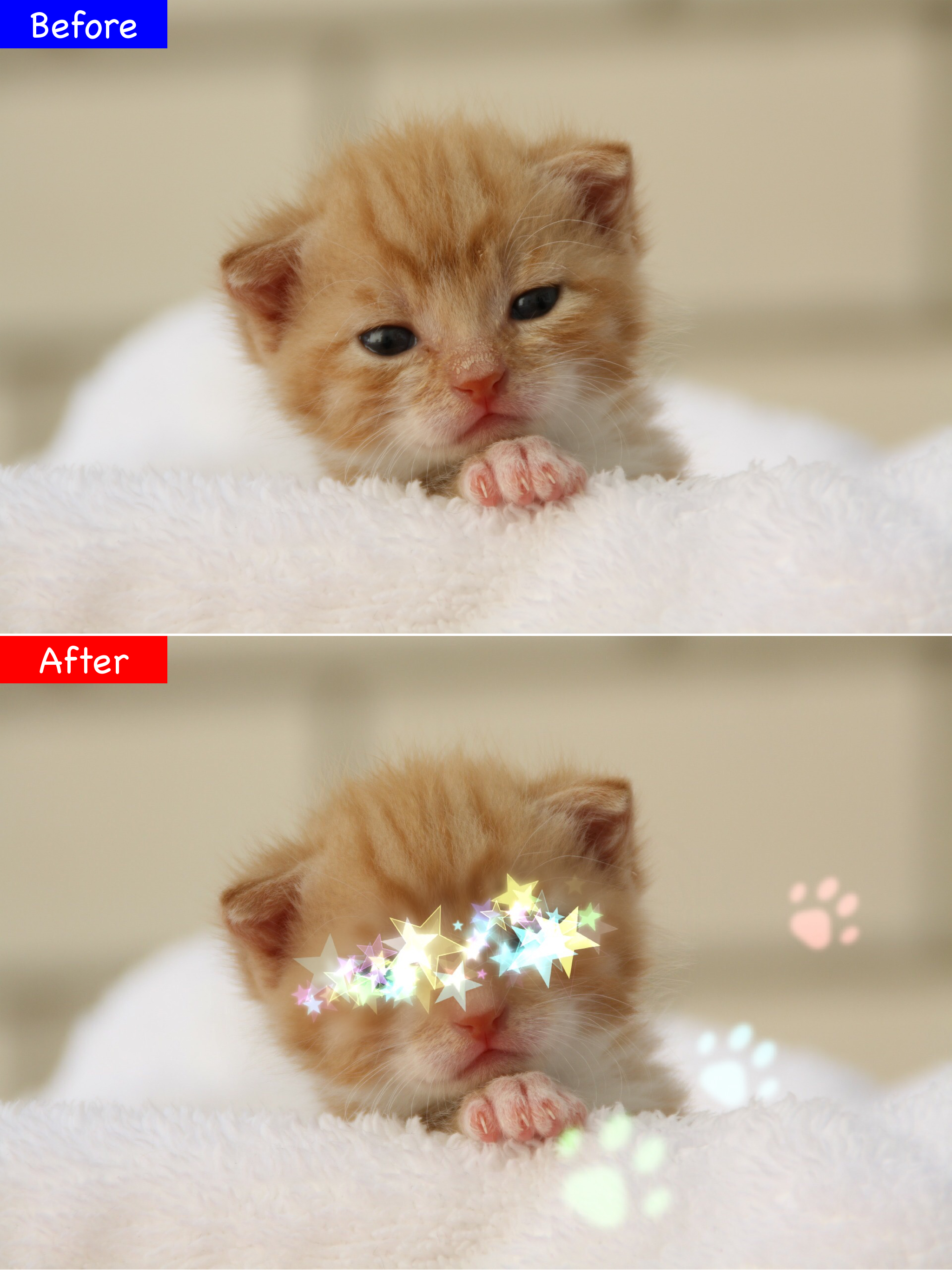 Glitter Photo Editor Lite screenshot 6