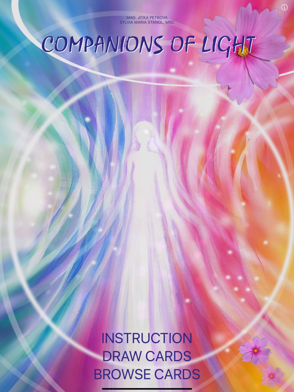 Screenshot #4 pour Companions of Light