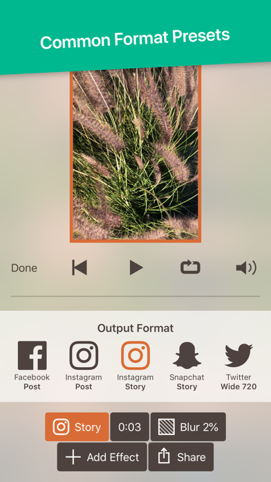Screenshot #3 pour Less Is More