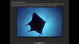 Game screenshot Silhouettes Underwater hack