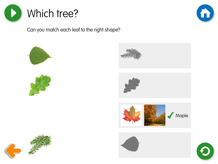 Little Red Riding Hood - UK screenshot-4