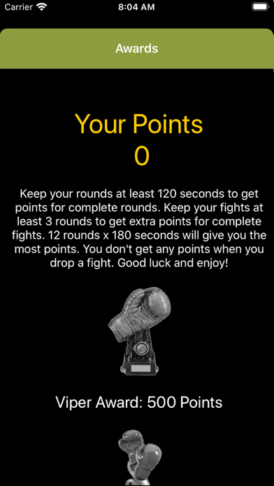 Puncher - Professional Timer screenshot 4