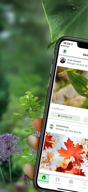 Plantsnap - Pflanzen bestimmen im App Store