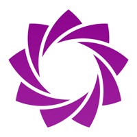 Mio  logo